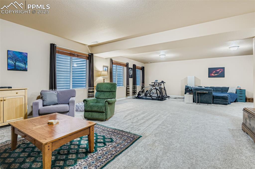 Image 18 of 28: Carpeted living room with a textured ceiling
