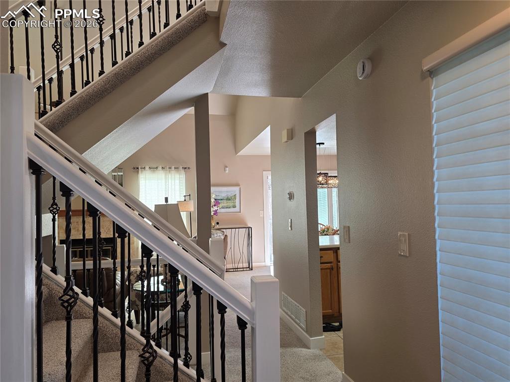 Image 6 of 35: Other