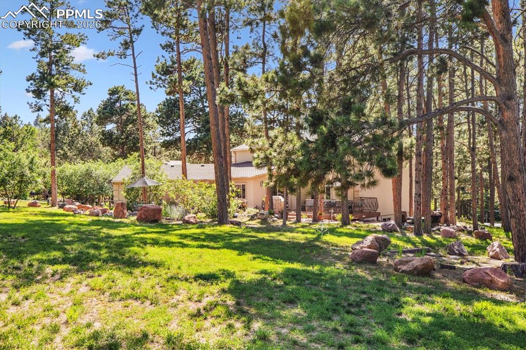 Image 37 of 50: Yard