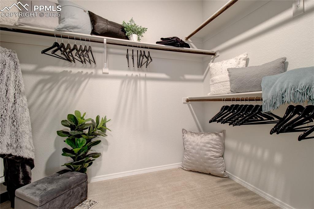 Image 24 of 32: Walk in closet featuring carpet