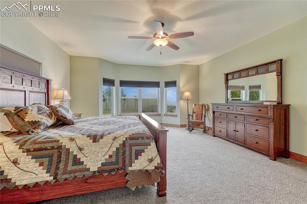 Image 21 of 43: Carpeted bedroom featuring multiple windows, baseboards, and a ceiling fan