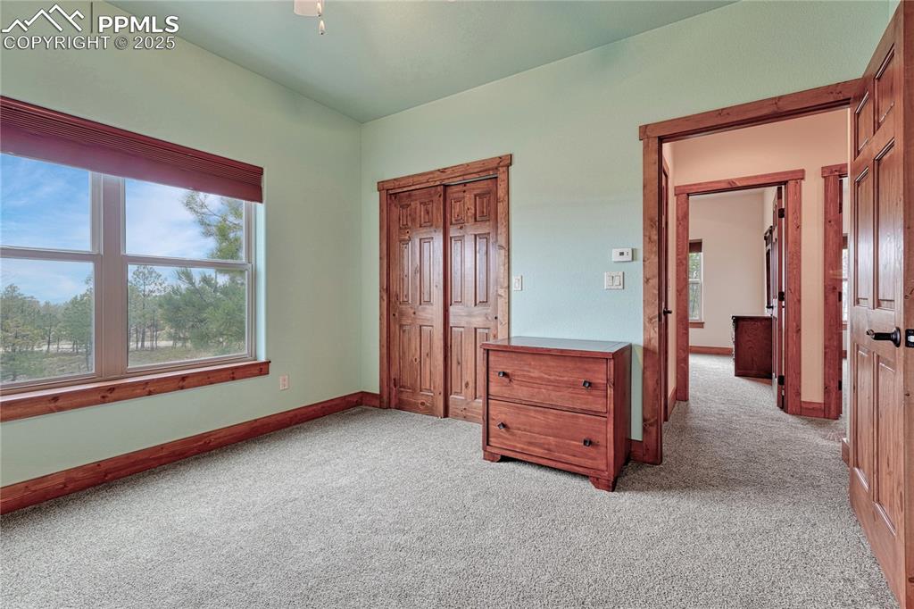Image 31 of 43: Bedroom featuring light colored carpet, multiple windows, and baseboards