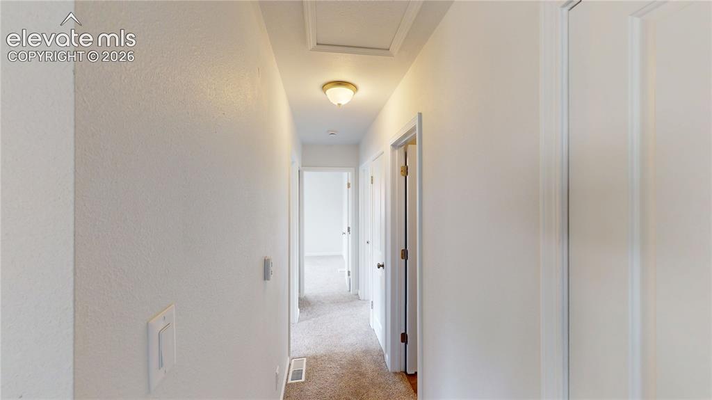 Image 8 of 16: Neutral wall paint finish and carpeted flooring in a hallway with ceiling-m