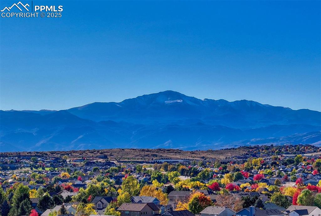 Image 25 of 29: View