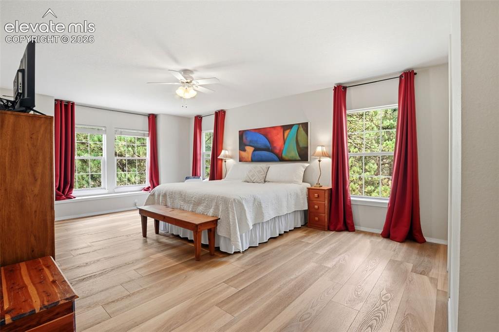 Image 21 of 40: AS is spacious primary bedroom with newer flooring, window seat and ceiling