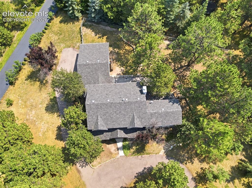 Image 38 of 40: Expansive lot with mature trees and paved, circle driveway