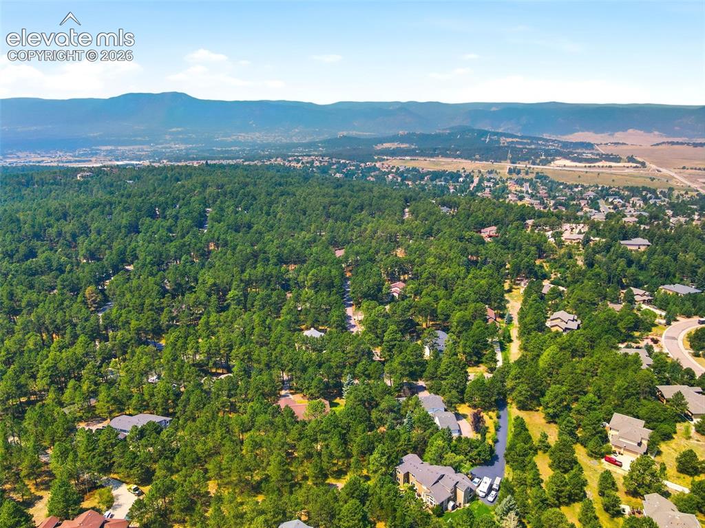 Image 39 of 40: Woodmoor neighborhood and D38 schools!