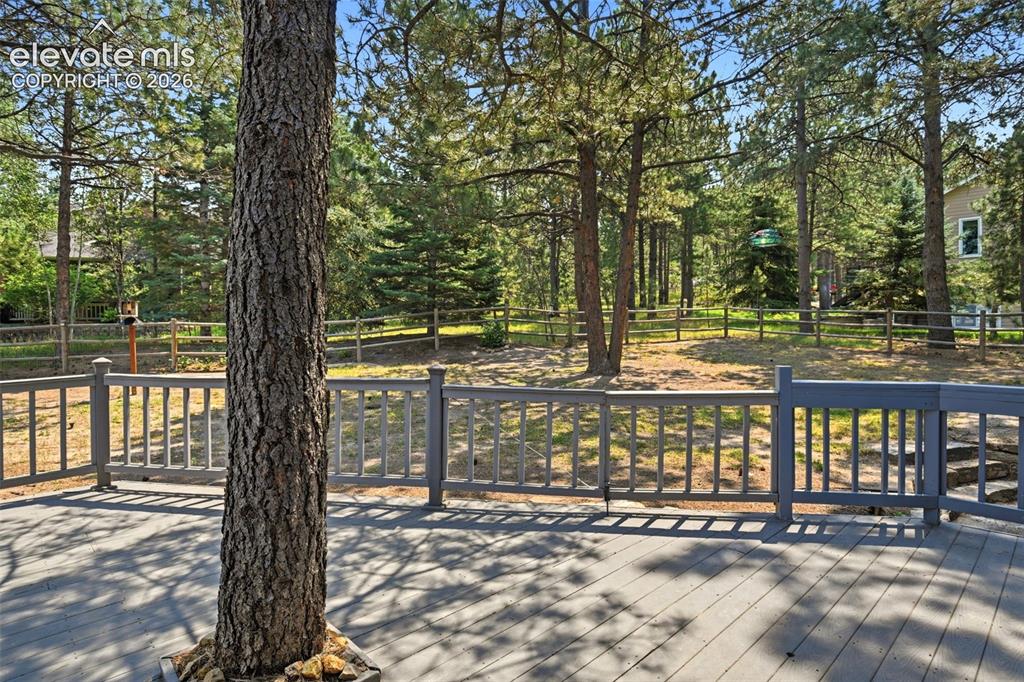 Image 43 of 44: Expansive outdoor deck with gray railing, surrounded by mature trees, and a