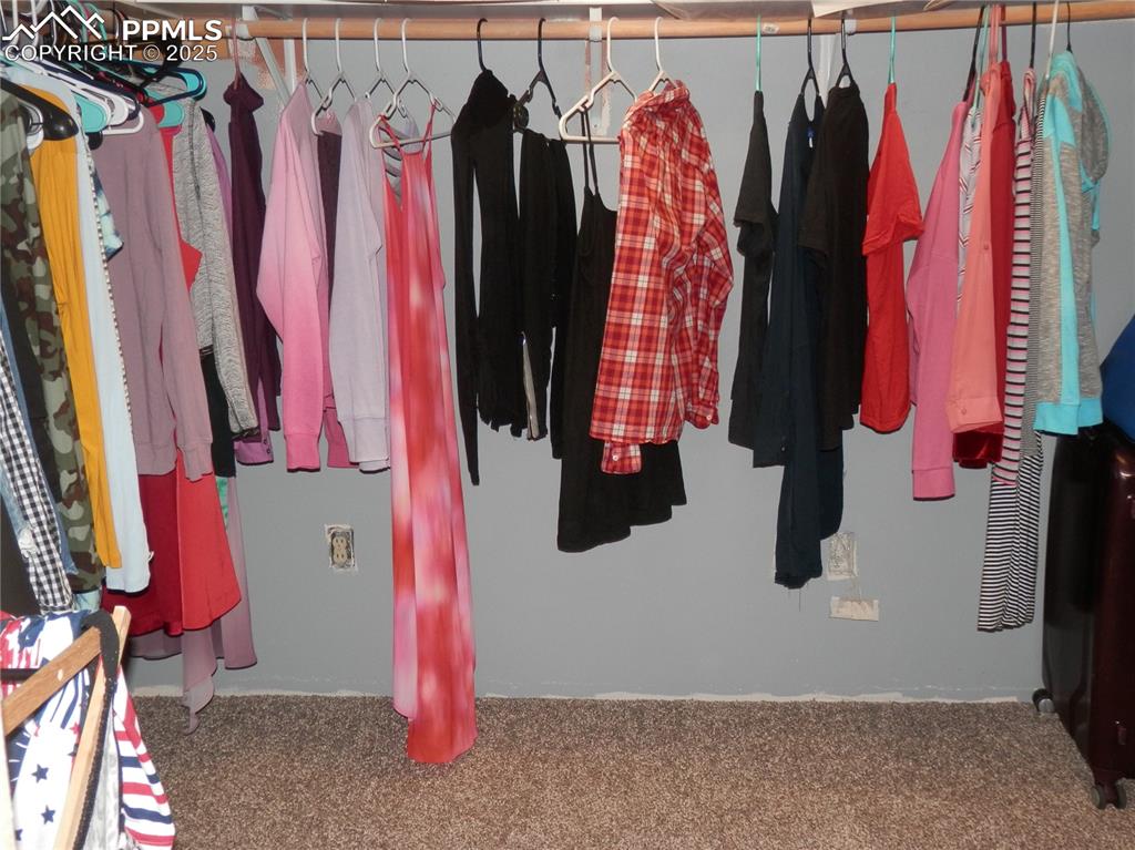 Image 23 of 29: Walk in closet with carpet