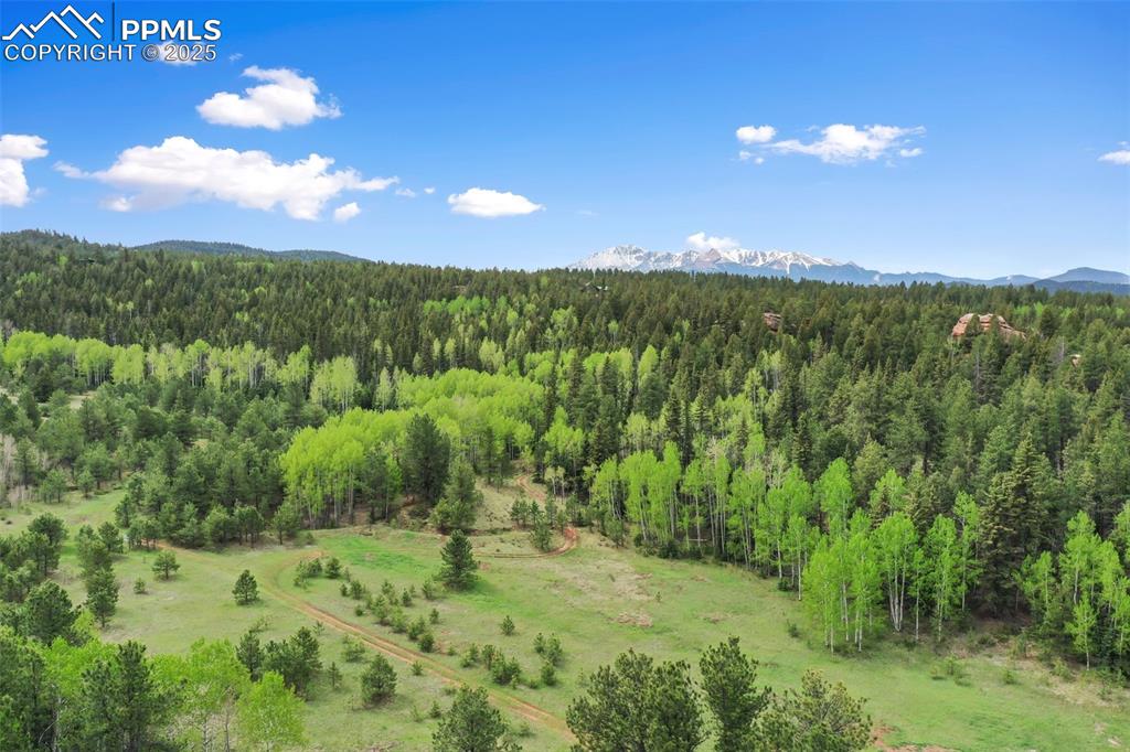 Image 10 of 50: Aerial View