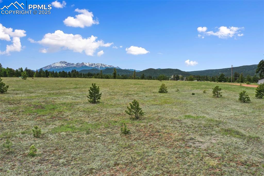 Image 12 of 50: View