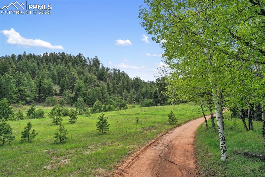 Image 14 of 50: Community