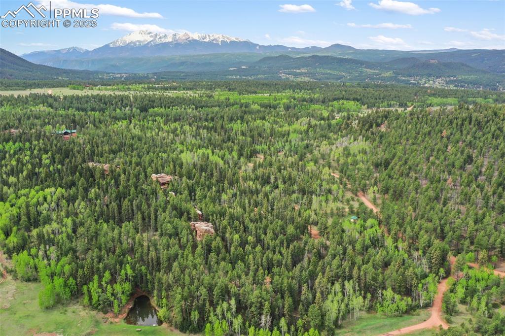 Image 15 of 50: Aerial View