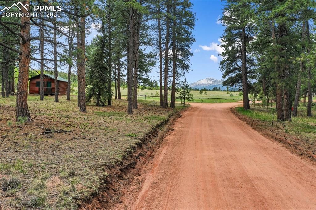 Image 20 of 50: Community