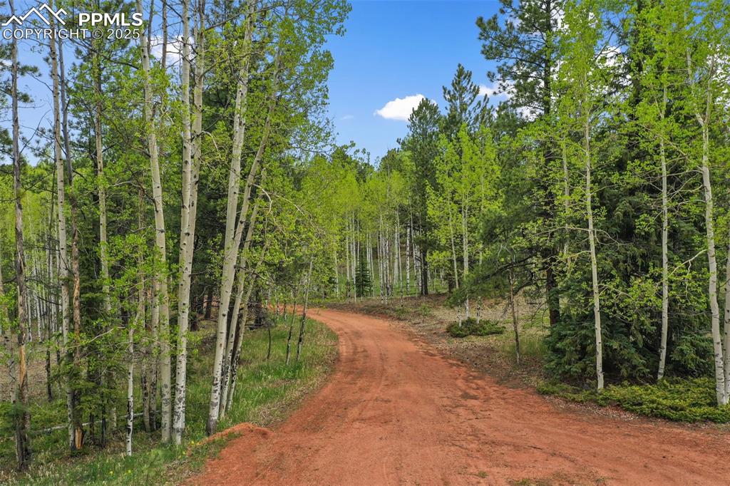 Image 22 of 50: Community