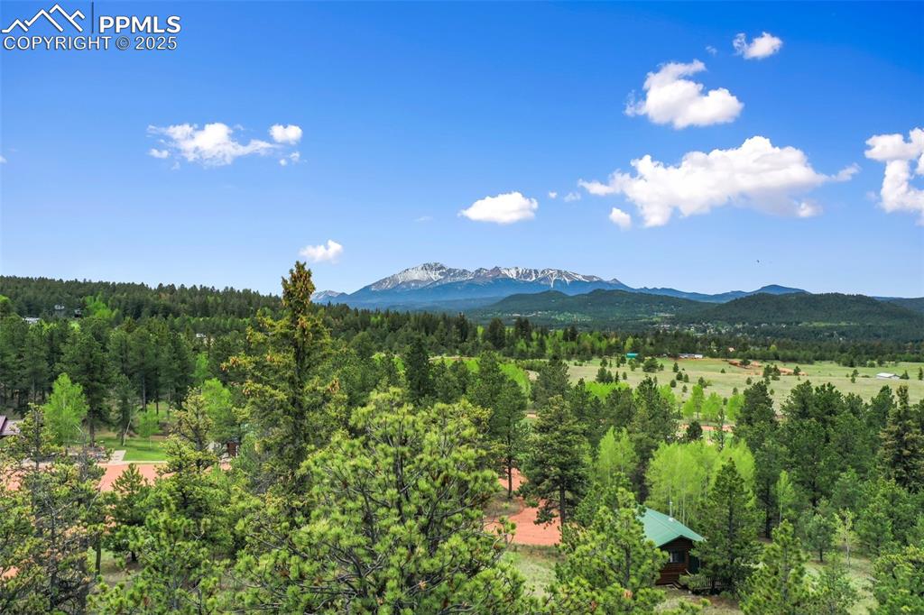 Image 23 of 50: View