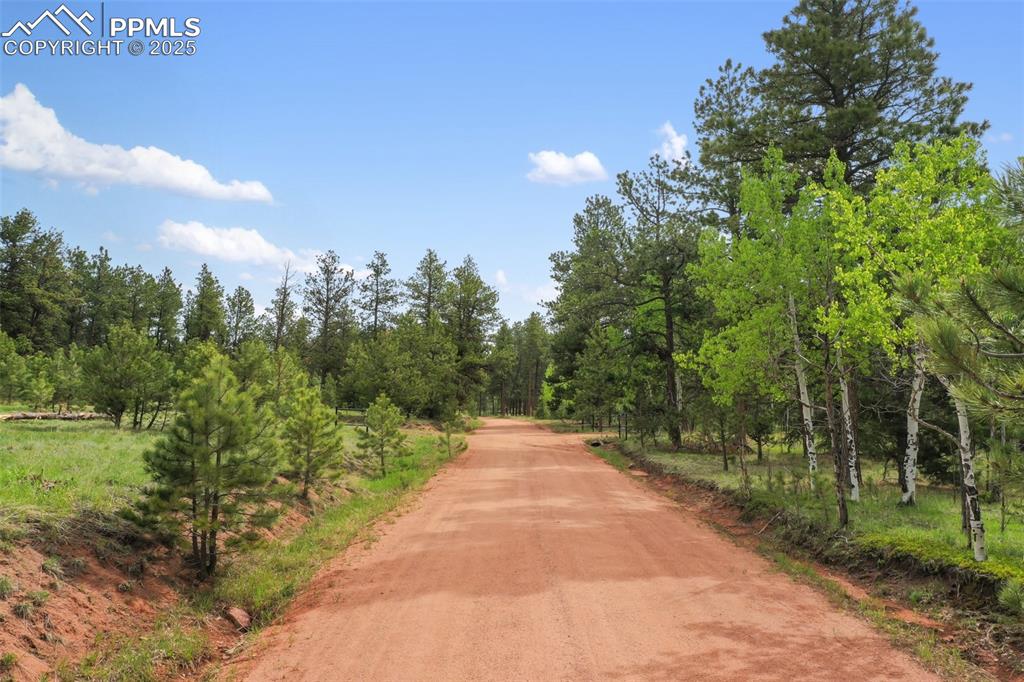 Image 31 of 50: Community