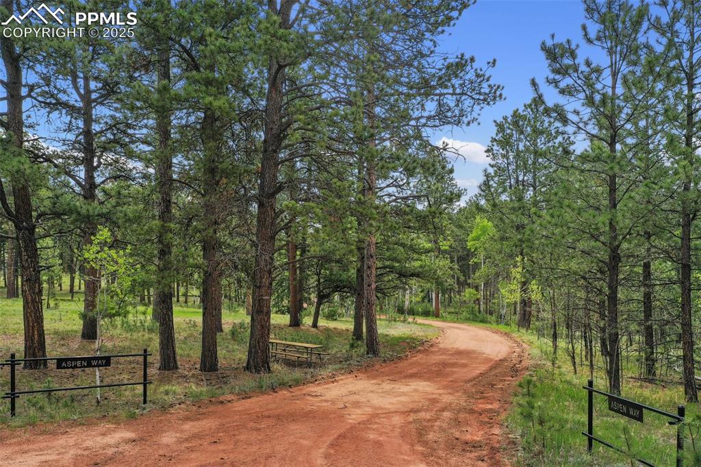 Image 33 of 50: Community