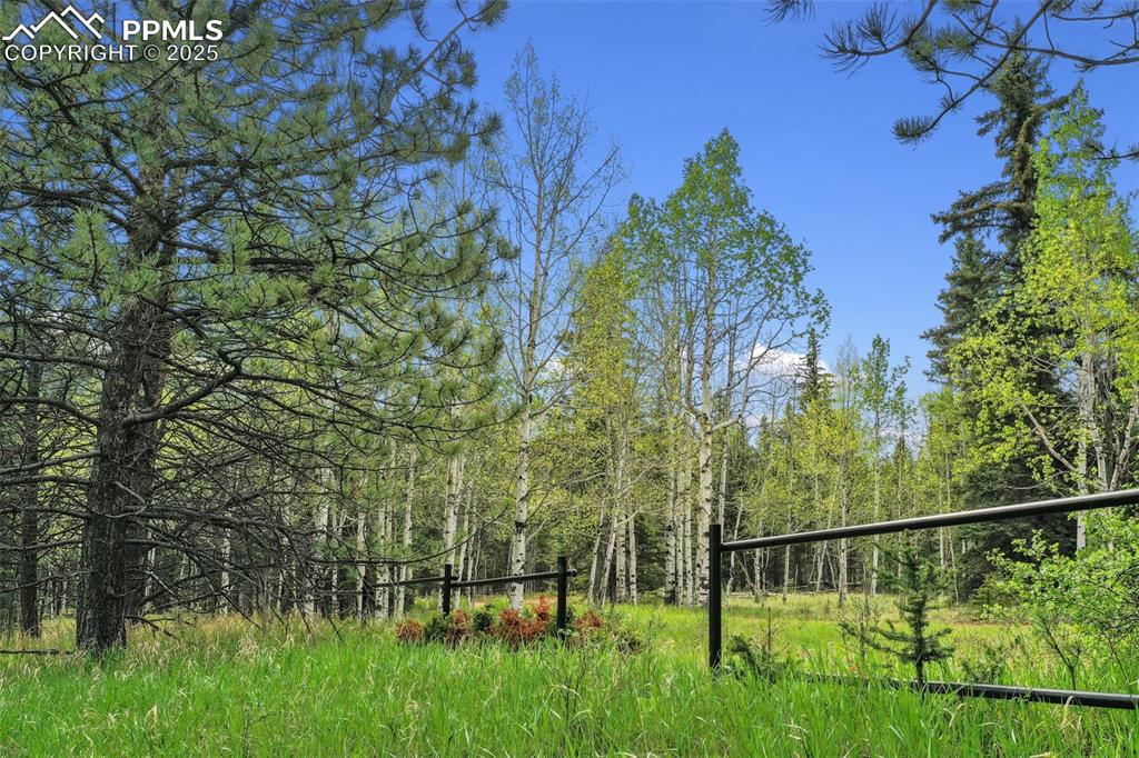 Image 34 of 50: Yard