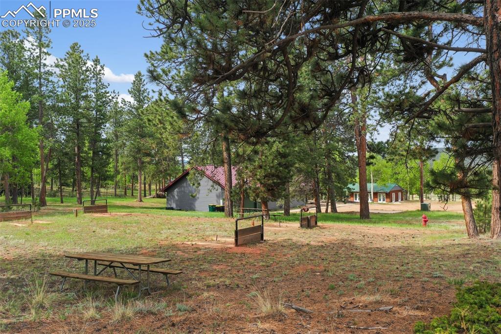 Image 40 of 50: Yard