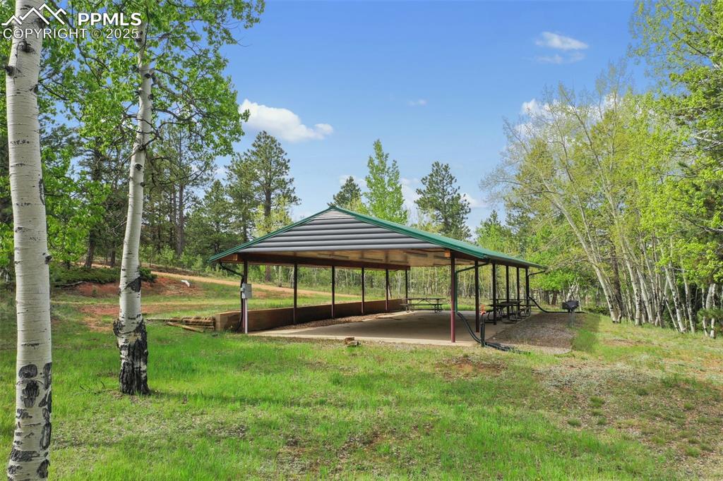 Image 43 of 50: Community