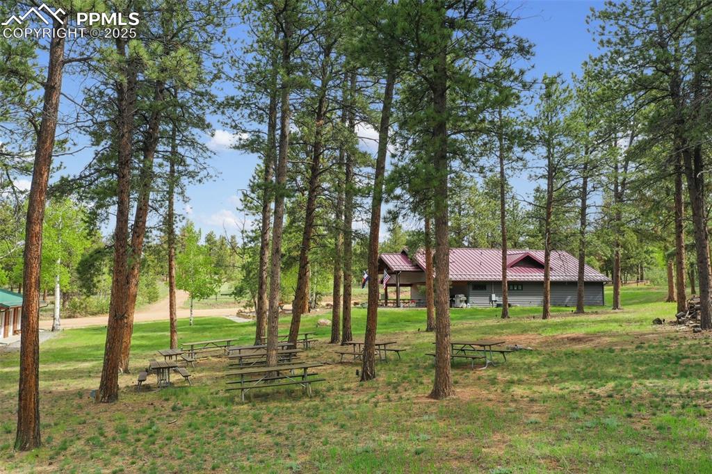 Image 44 of 50: Yard