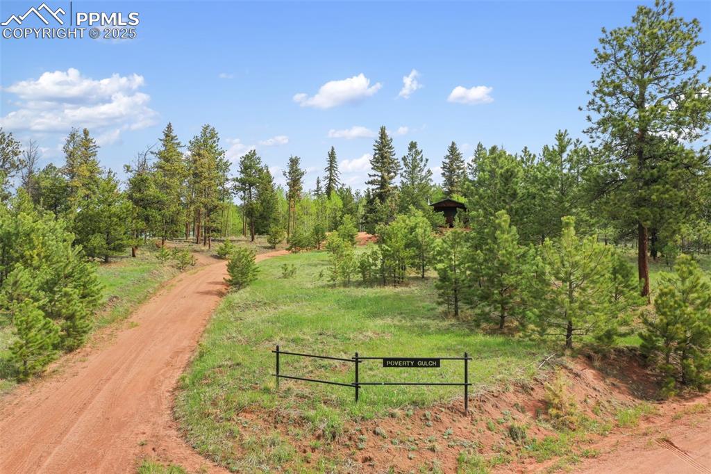 Image 45 of 50: Community