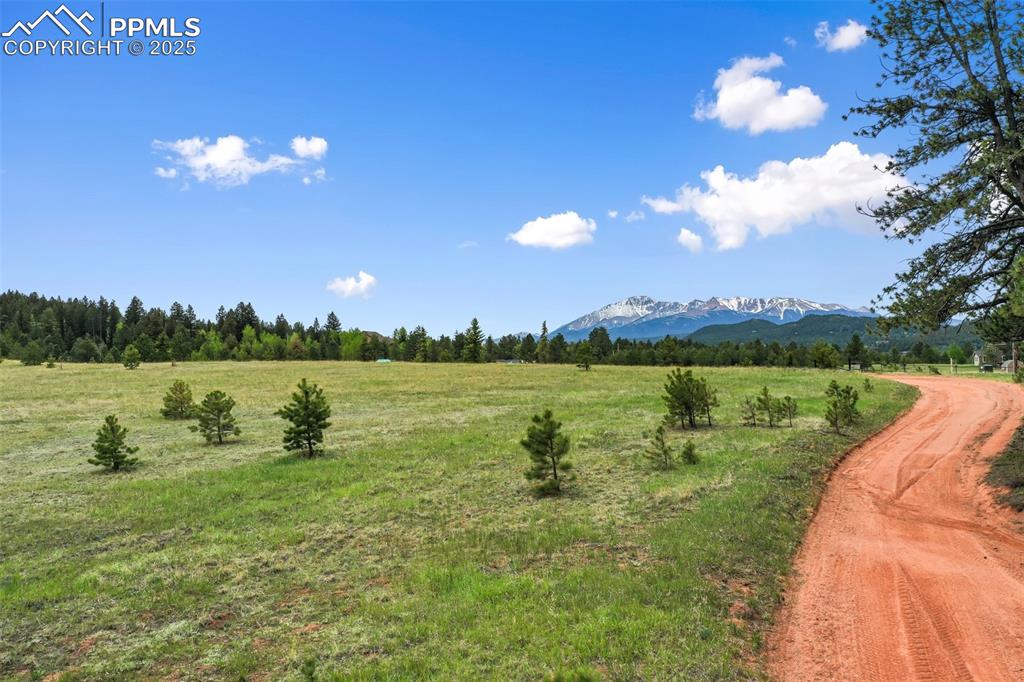 Image 46 of 50: View