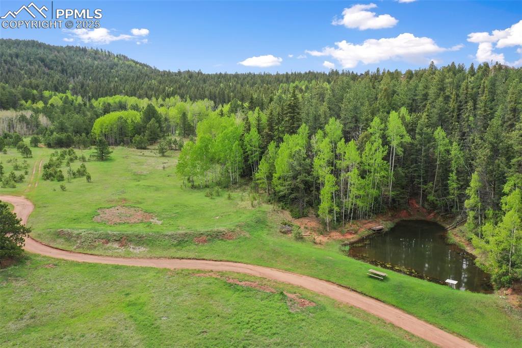 Image 49 of 50: Community