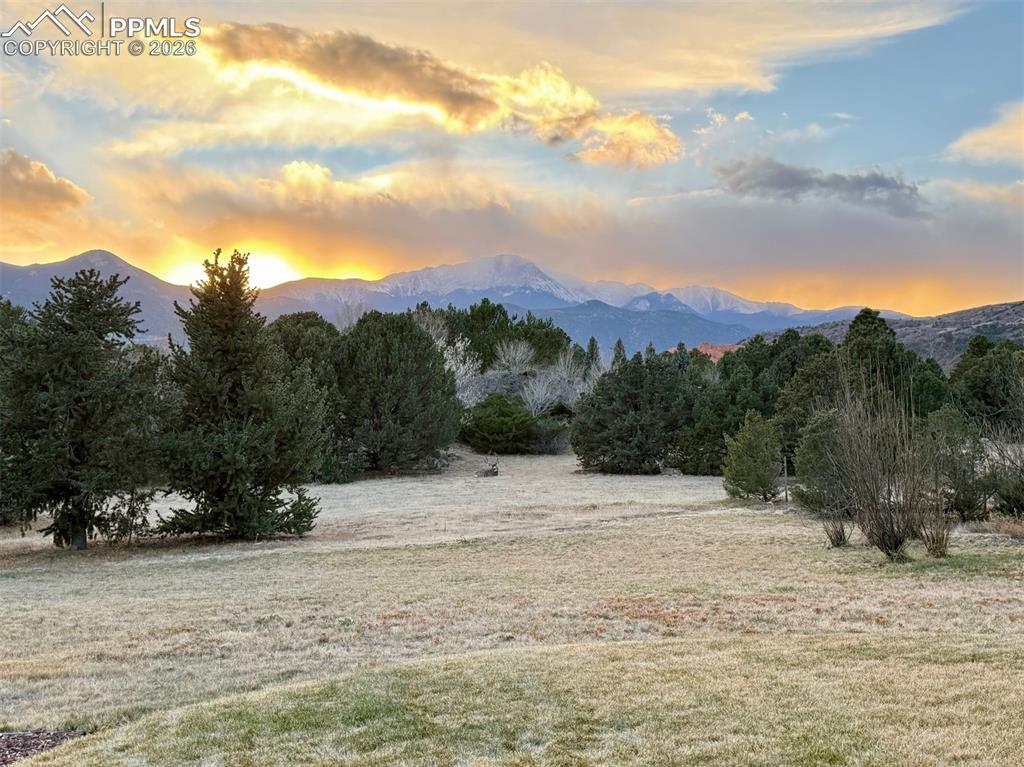 Image 45 of 46: A striking reminder of Colorado’s beauty, this backyard welcomes wildlife a