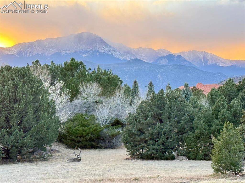 Image 46 of 46: A glimpse of nature’s theater — the backyard offers ever-changing views, co