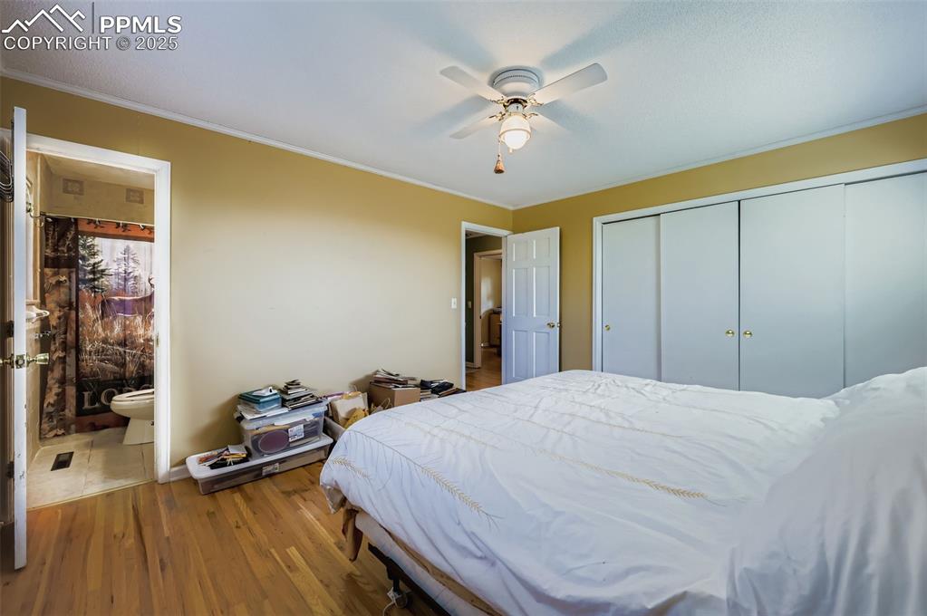 Image 11 of 23: Bedroom with dark wood-style floors, ceiling fan, crown molding, a closet,