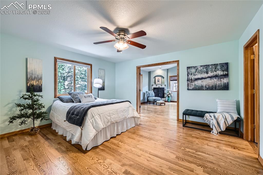 Image 14 of 37: Spacious primary bedroom on main level