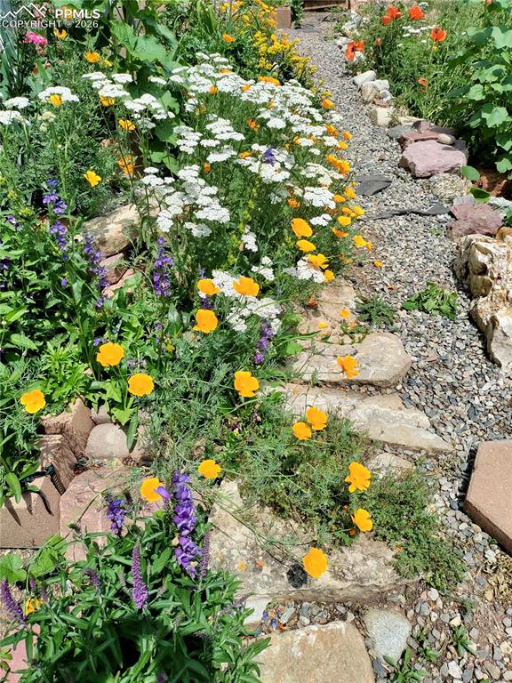 Image 31 of 37: Garden photo from when in bloom