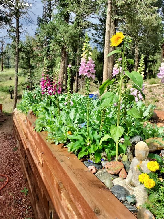 Image 32 of 37: Blooming perennial garden