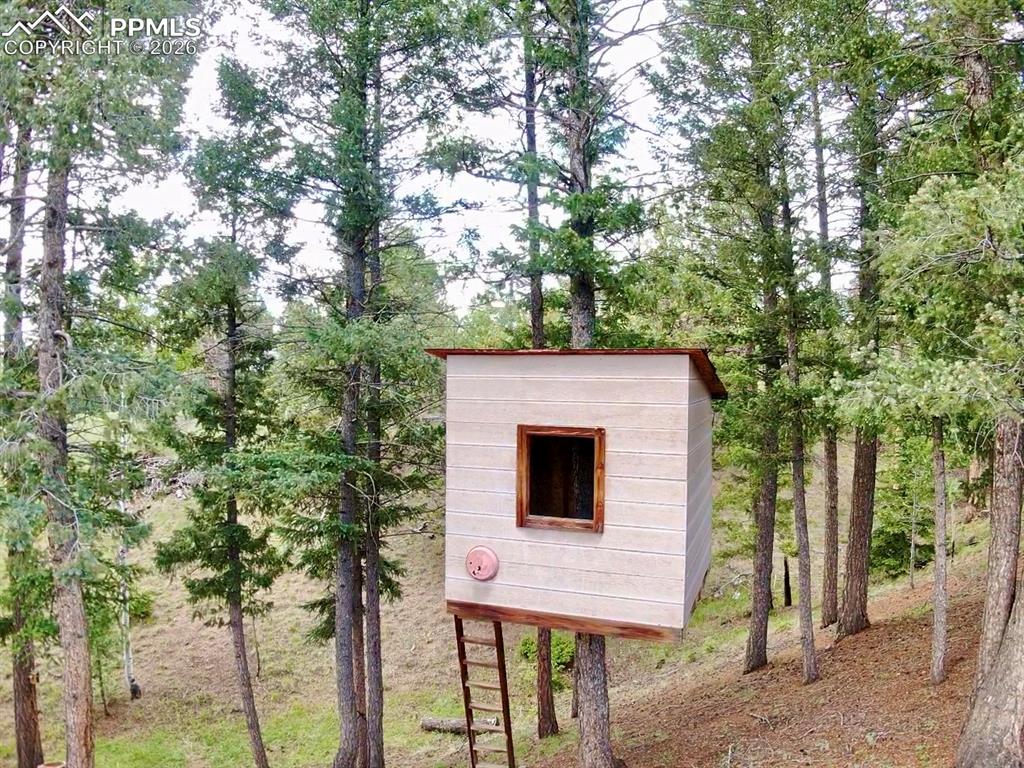 Image 36 of 37: Treehouse