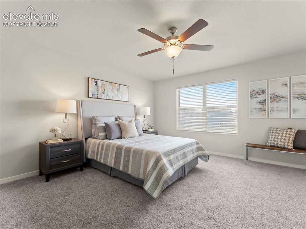 Image 25 of 46: Spacious room featuring neutral paint, gray carpeting, a single window with
