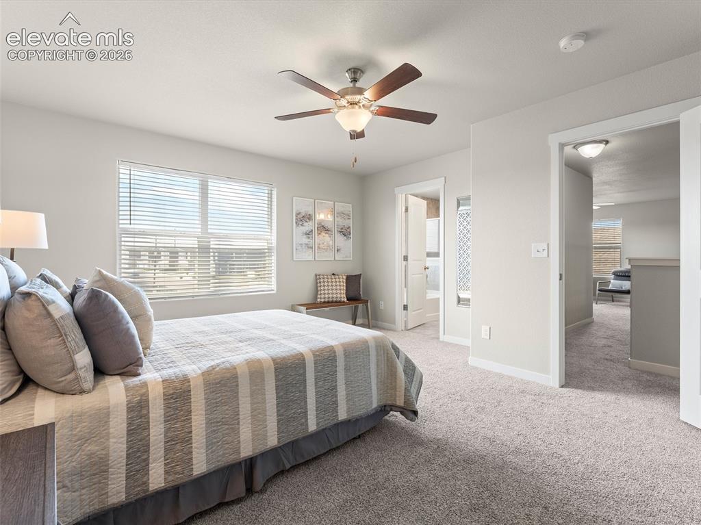 Image 28 of 46: Carpeted room featuring a ceiling fan with integrated lighting, a double wi