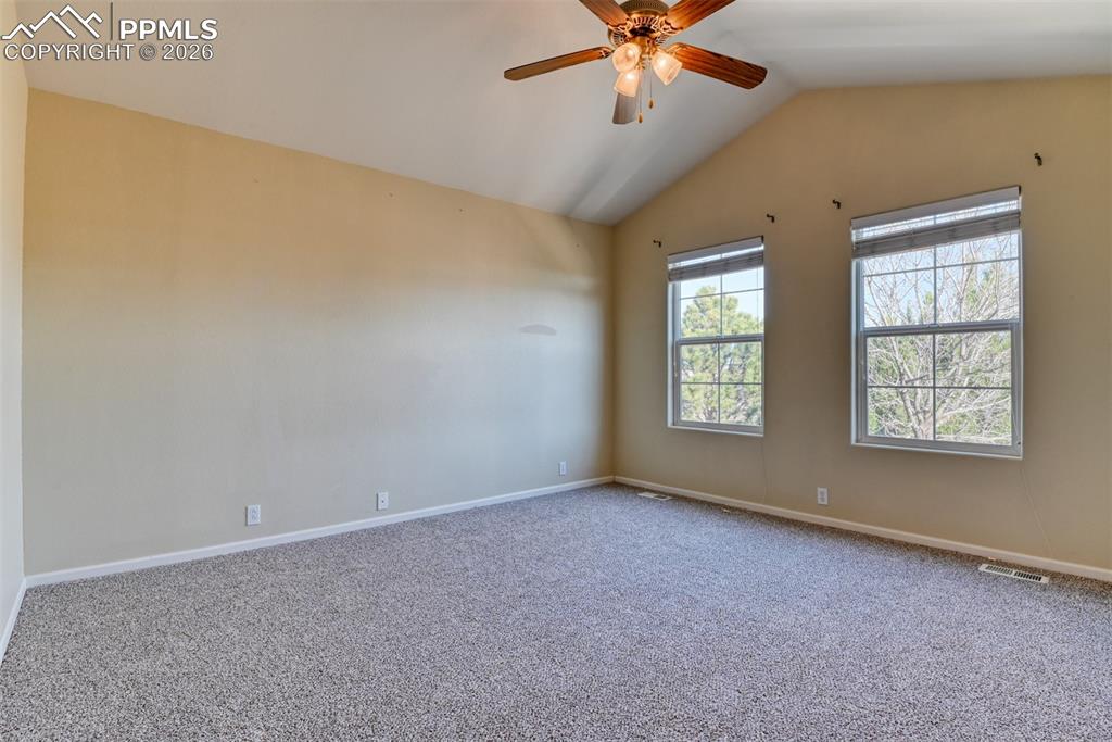 Image 16 of 50: Other