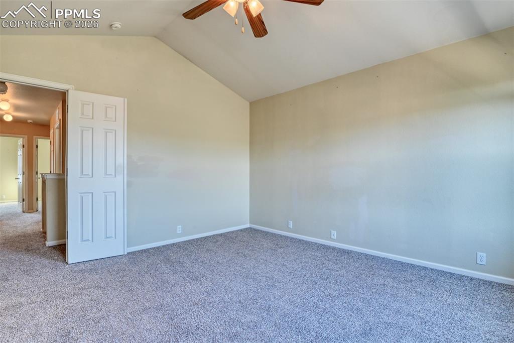 Image 19 of 50: Other