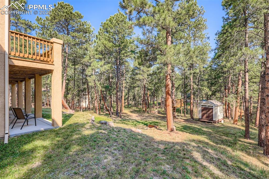 Image 35 of 49: View of grassy yard featuring a shed, a patio, and a balcony