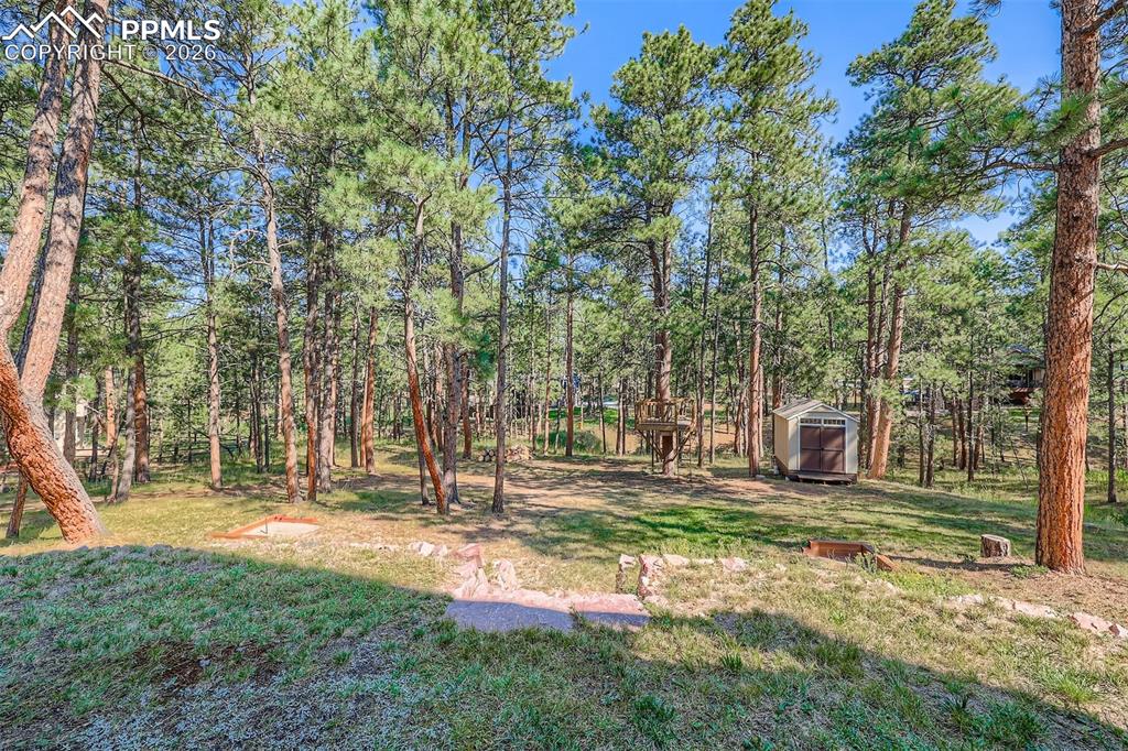 Image 37 of 49: View of green lawn with a storage shed and view of trees- over 1 acre lot