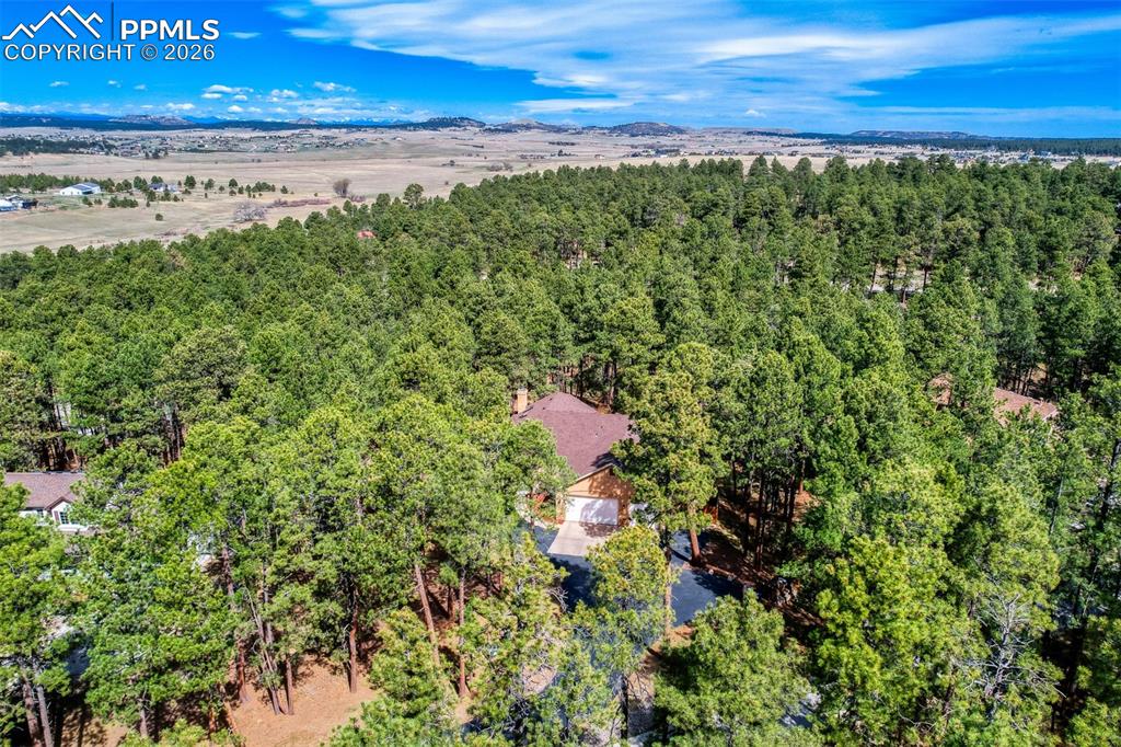 Image 43 of 49: Bird