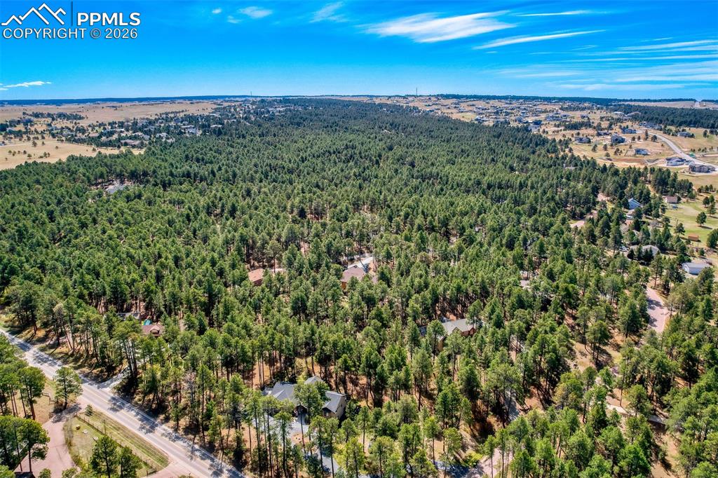 Image 48 of 49: Aerial view of a forest