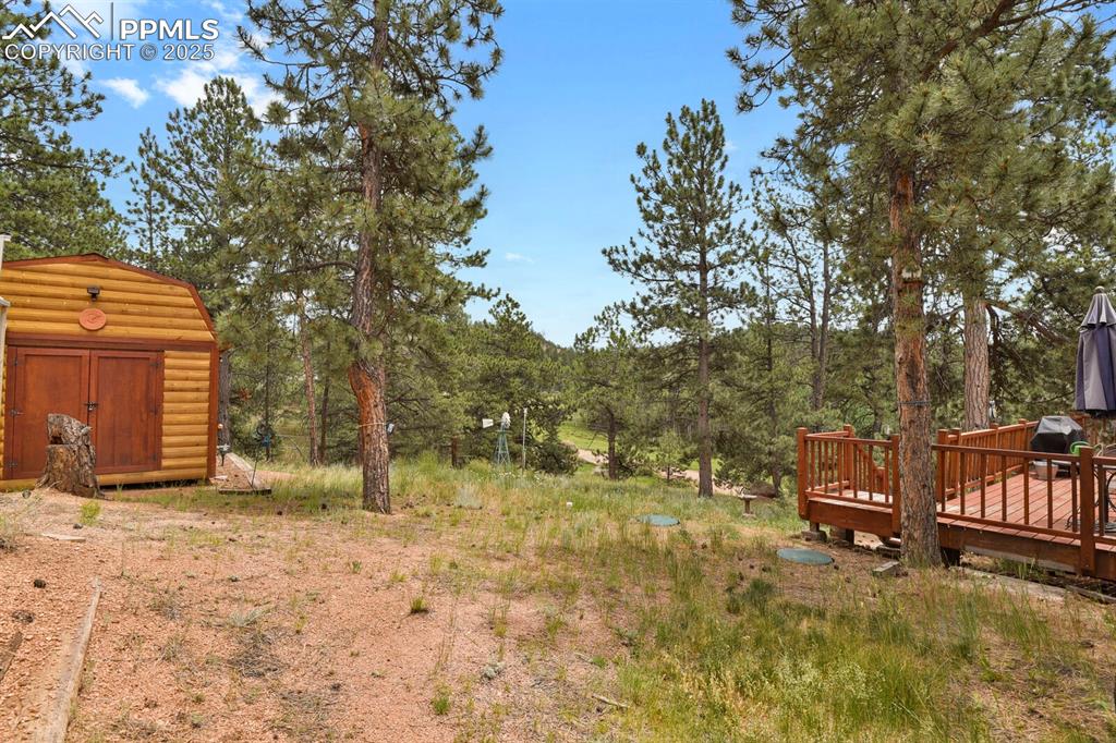 Image 33 of 43: View of yard featuring a storage shed and a deck