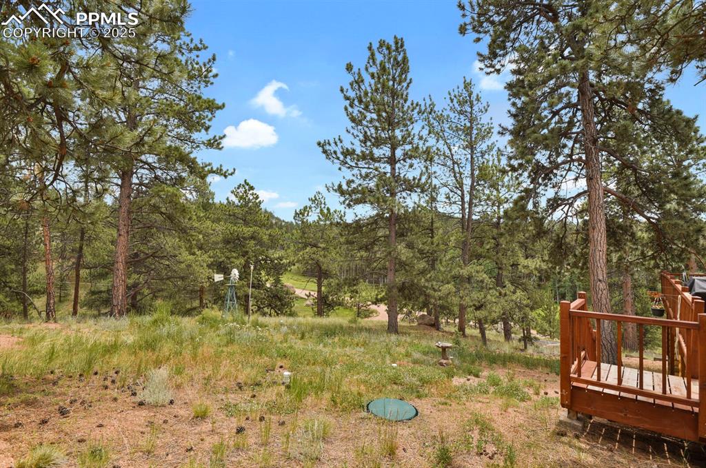 Image 34 of 43: View of yard featuring a deck and a wooded view
