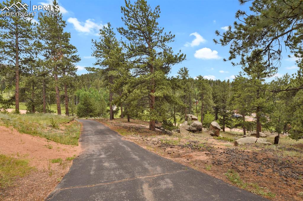 Image 36 of 43: View of road featuring a forest view