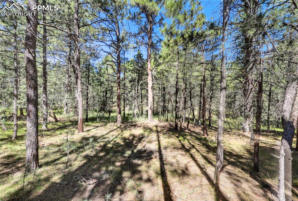 Image 10 of 14: Yard