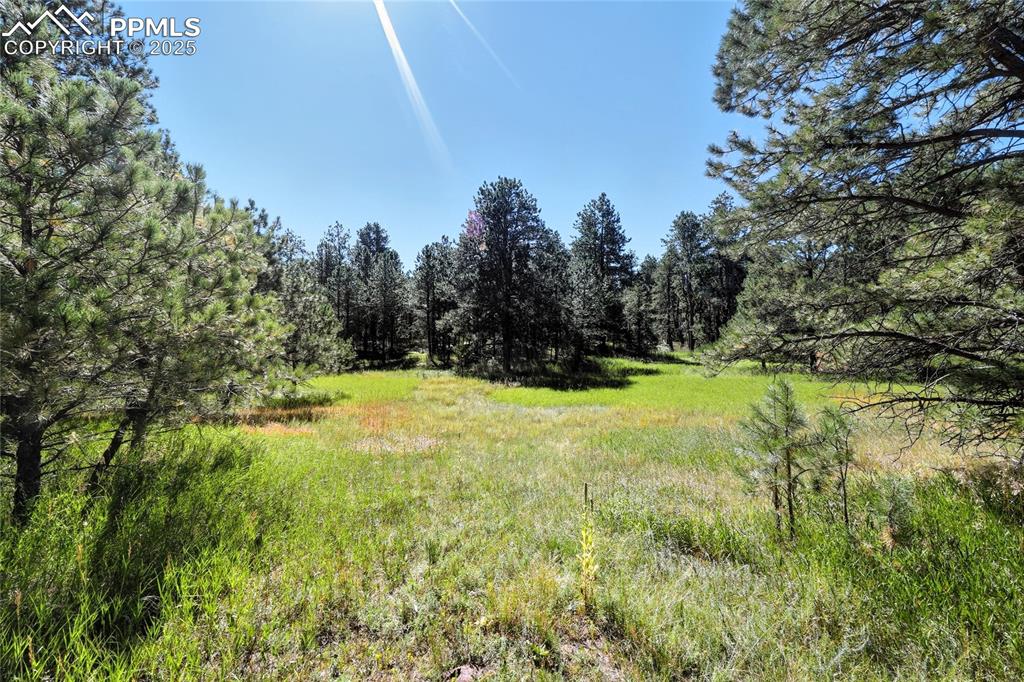 Image 7 of 14: Other