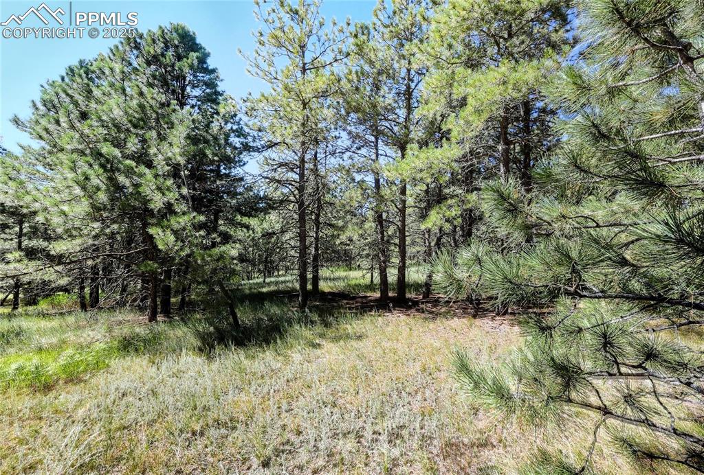 Image 9 of 14: Other